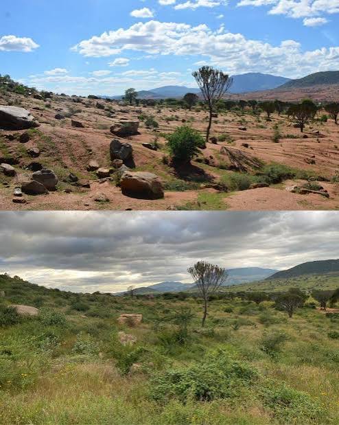 Le reforestation au Niger avant/apr&egrave;s