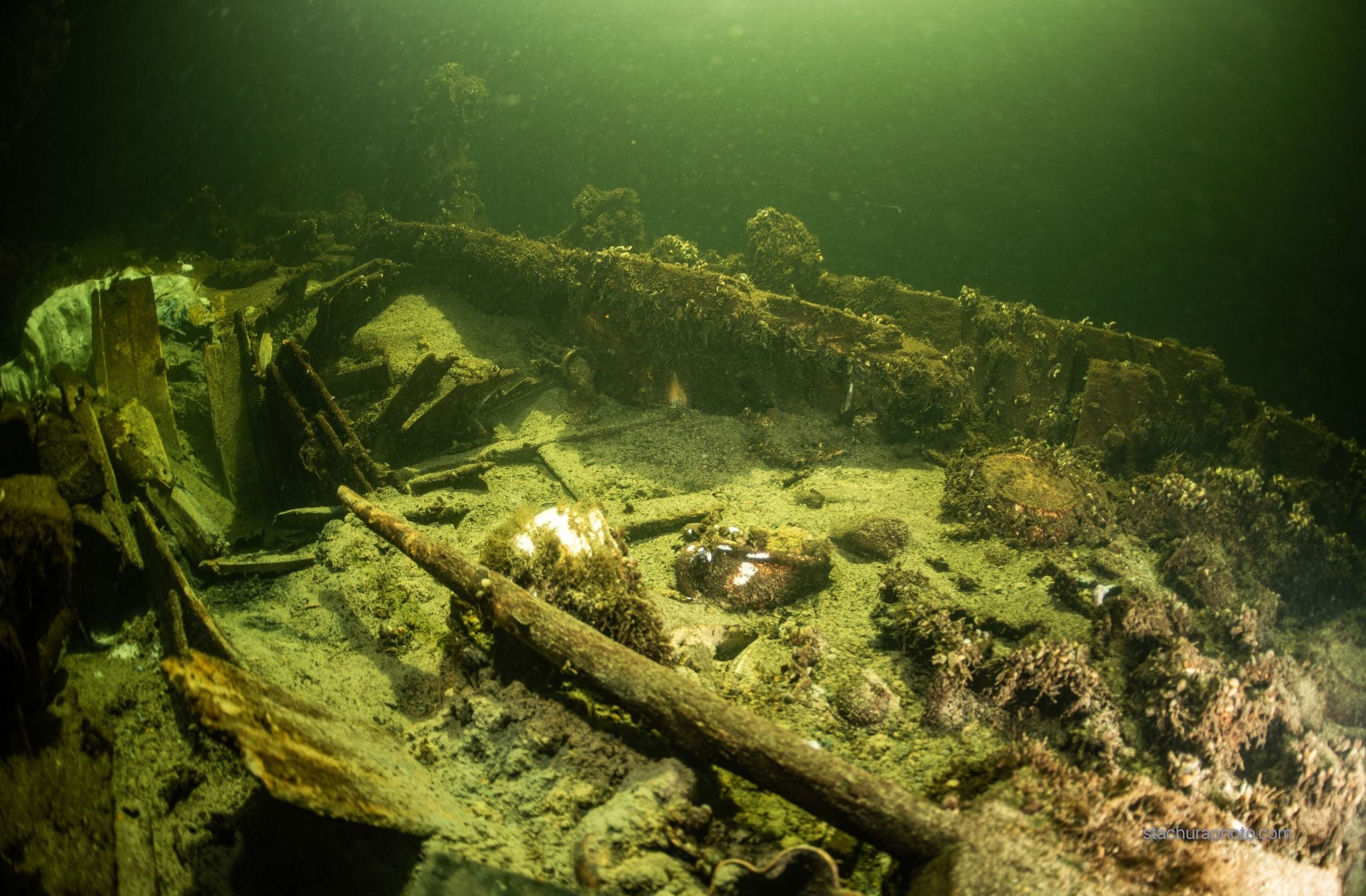 Des bouteilles de champagne vieilles de 170 ans d&eacute;couverte dans une &eacute;pave