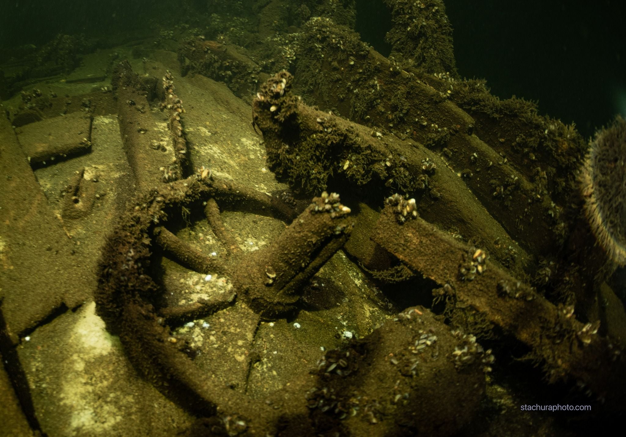Des bouteilles de champagne vieilles de 170 ans d&eacute;couverte dans une &eacute;pave