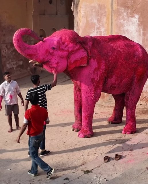 Image du shooting r&eacute;alis&eacute; par Julia Buruleva 