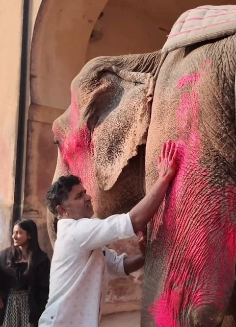 Image du shooting r&eacute;alis&eacute; par Julia Buruleva 