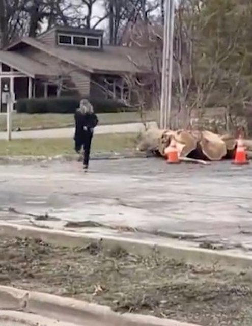 Capture d'&eacute;cran X 