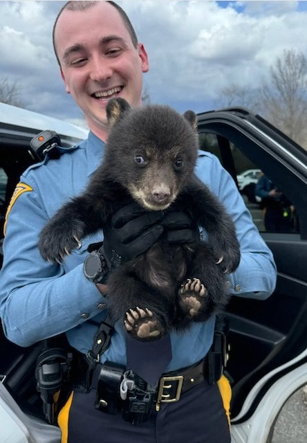 Capture d'&eacute;cran Facebook