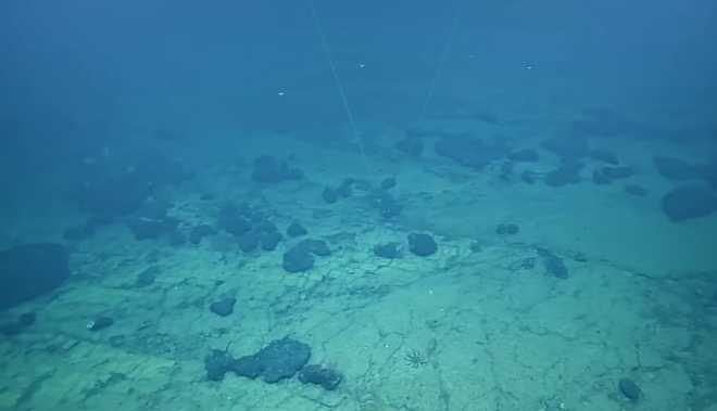 Les profondeurs de l'oc&eacute;an