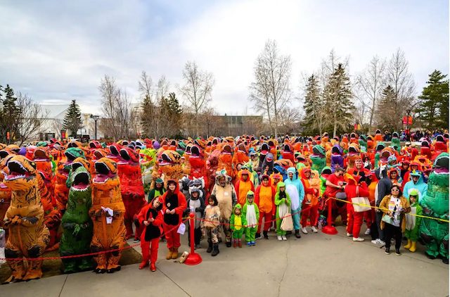 Photo montrant le rassemblement de dinosaures &agrave; l'Universit&eacute; de Calgary, au Canada