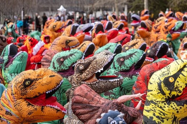 Photo montrant le rassemblement de dinosaures &agrave; l'Universit&eacute; de Calgary, au Canada