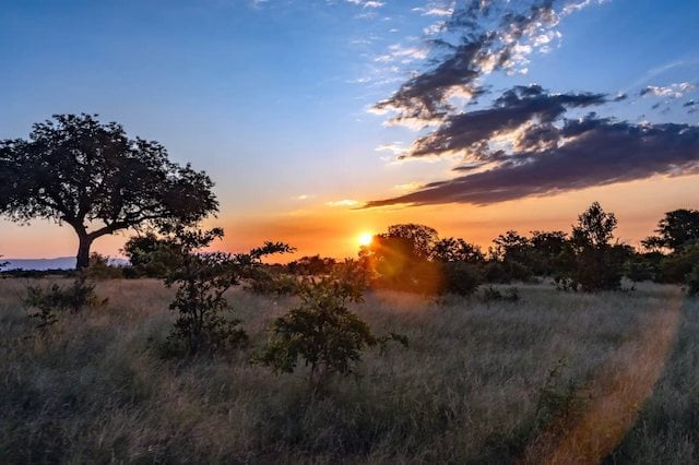 R&eacute;serve priv&eacute;e de Klaserie, en Afrique du Sud