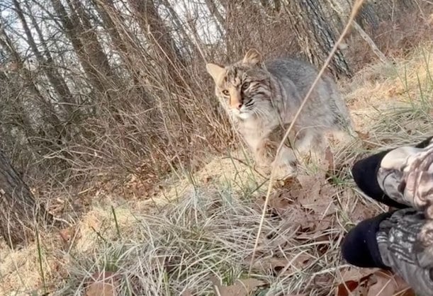 Capture d'&eacute;cran Instagram