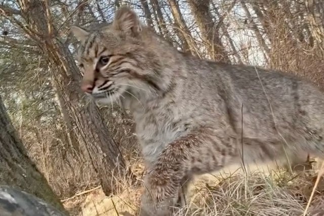 Capture d'&eacute;cran Instagram