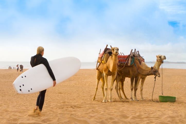 Un surfeur sur une plage avec des chameaux