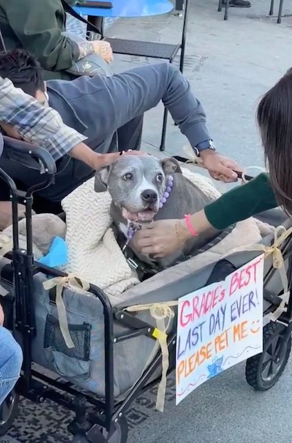 Capture d'&eacute;cran TikTok 