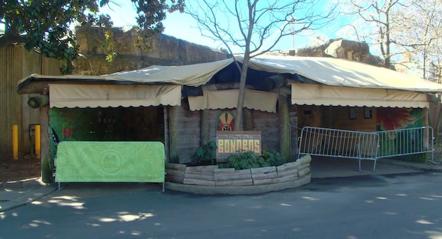 L'espace des singes dans le zoo de Memphis 