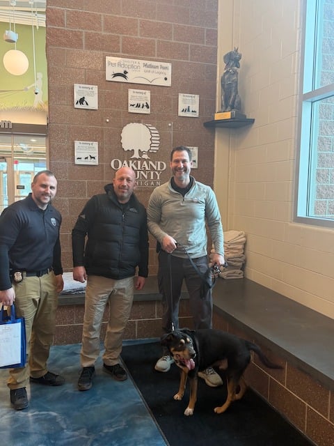 Lil Graig, le chien adopt&eacute; par la police 