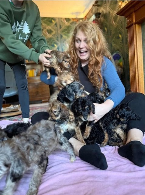 Miranda Pellecchia et les chiots