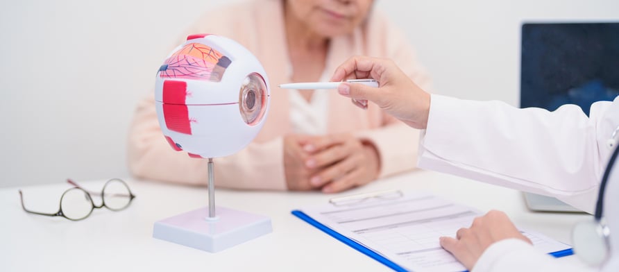 Un m&eacute;decin utilise un mod&egrave;le oculaire