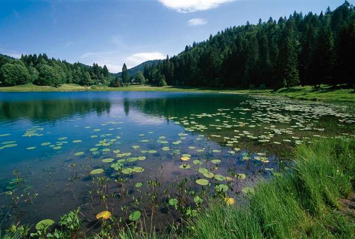 Une mare pr&egrave;s d'Oyonnax