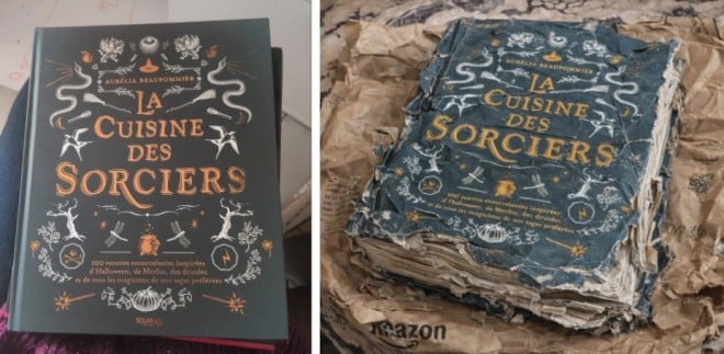 Le livre envoy&eacute; et la photo g&eacute;n&eacute;r&eacute;e par l'IA