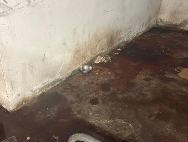 Gamelle retrouv&eacute;e dans le parking souterrain