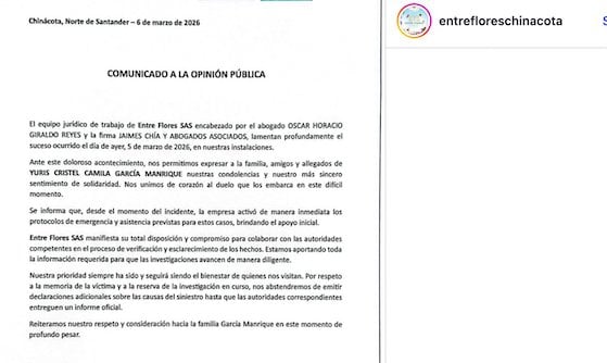 Capture d'&eacute;cran Entre Flores