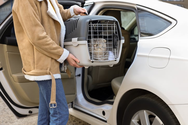 Un homme transportant un chat dans une caisse, devant une voiture