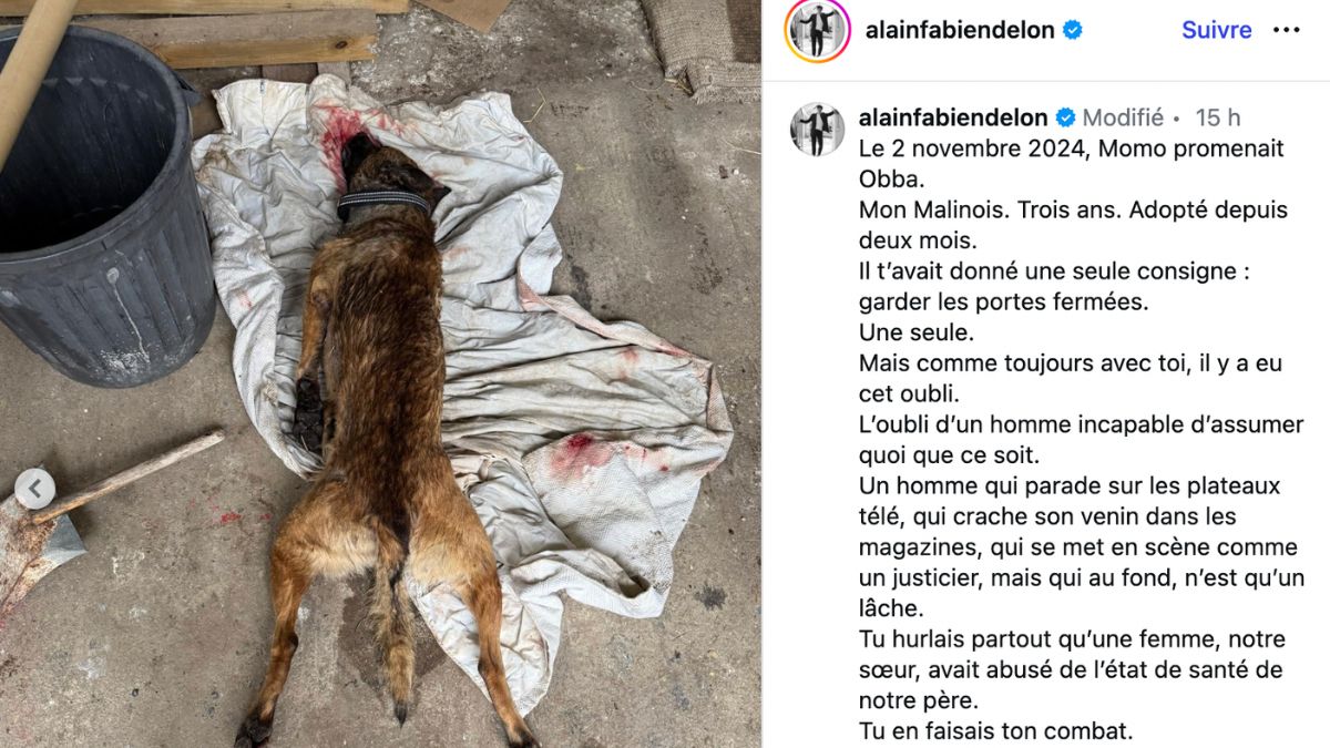 Capture d'&eacute;cran d'un post Instagram d'Alain Fabien Delon