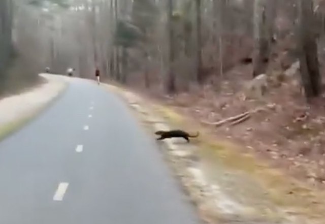 Capture d'&eacute;cran