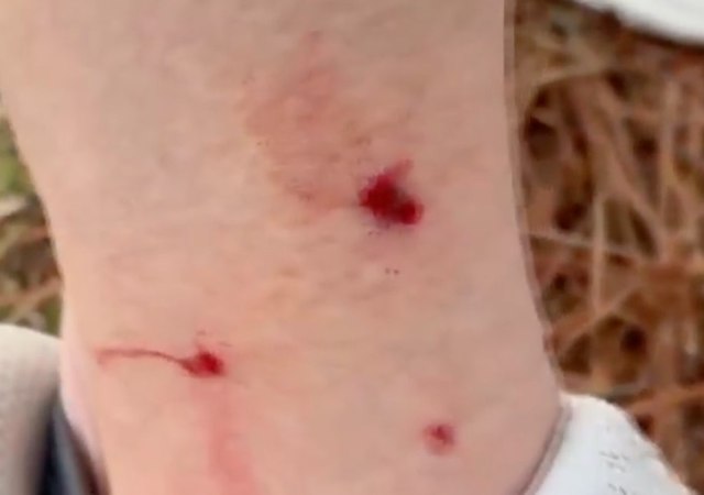 Capture d'&eacute;cran