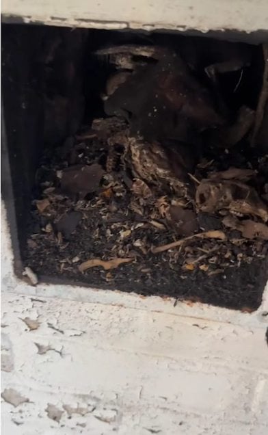 Capture d'&eacute;cran Instagram