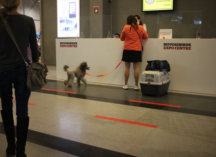 Une passag&egrave;re d'un avion, tenant son chien en laisse, au comptoir d'un a&eacute;roport