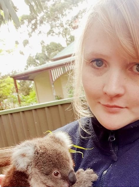 Colleen Edwards et un autre koala