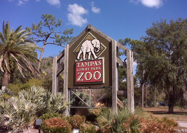 Entr&eacute;e du ZooTampa