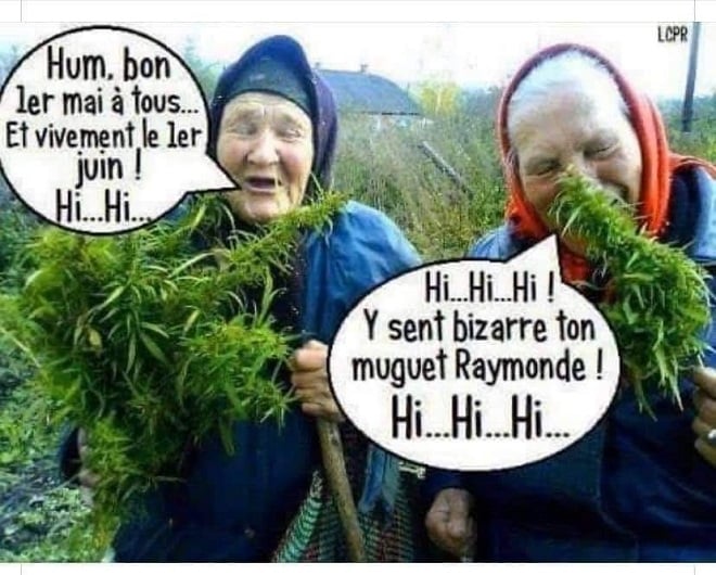 humour en images II - Page 7 Ce%20n%E2%80%99est%20pas%20du%20muguet%20%21