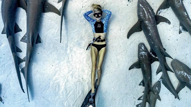 Ocean Ramsey entourée de requins