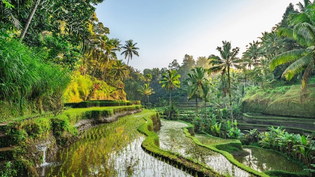 Bali