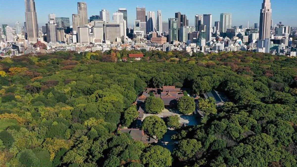 forêt de Meiji Jingu