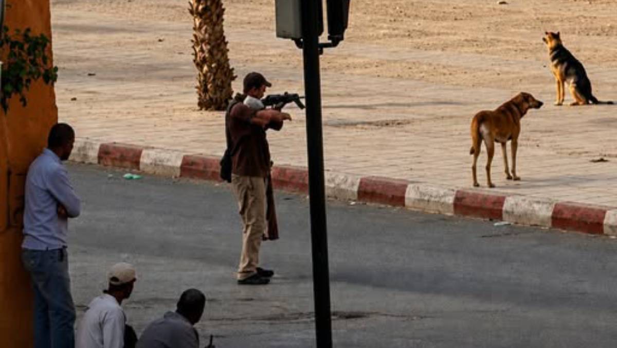 Homme arm&eacute; tirant sur des chiens errants au Maroc