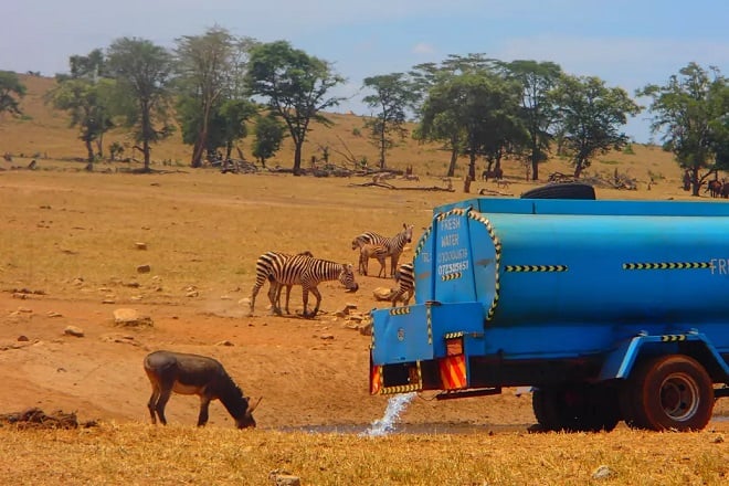 Citerne d'eau déversant de l'eau pour des animaux sauvages