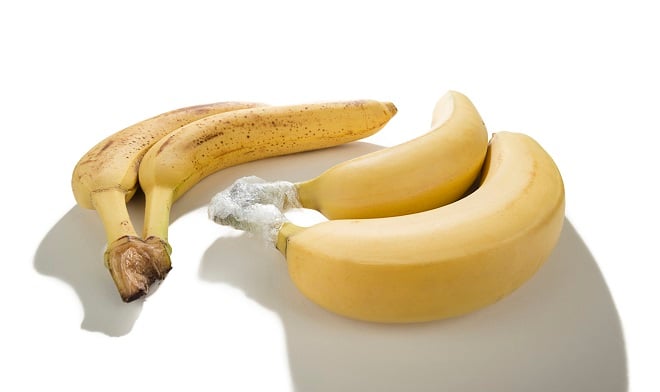 Tiges de bananes enveloppées dans du plastique