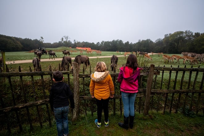 trois enfants au zoo