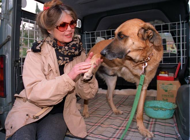 Brigitte Bardot et un chien 
