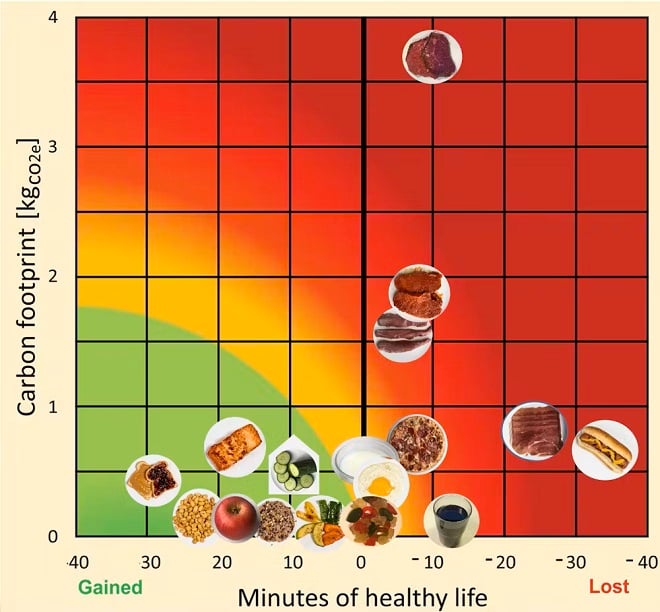 Échelle des aliments sur l'espérance de vie