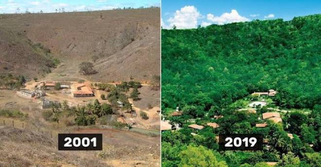 For&ecirc;t dans la r&eacute;gion br&eacute;silienne de Minas Gerais repeupl&eacute;e par l'ONG Instituto Terra