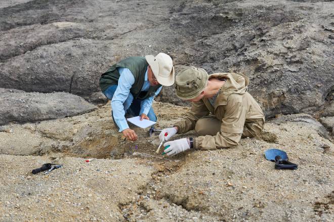 Pal&eacute;lontologues d&eacute;couvrant un fossile dans le d&eacute;sert