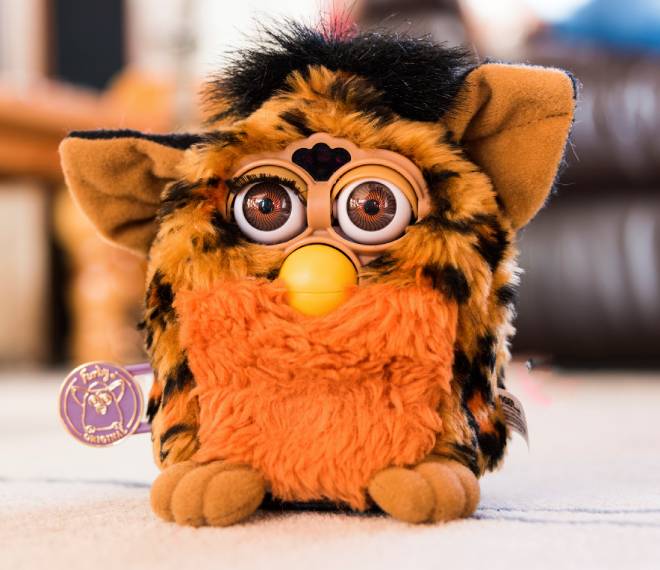 Furby marron