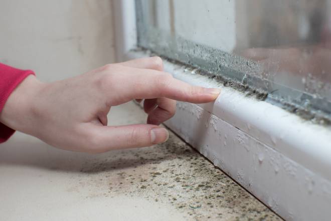Humidit&eacute; et moisissure sur le mur et fen&ecirc;tre