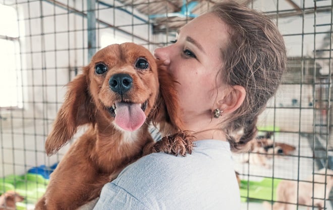 Bénévole d'une refuge câlinant un chien
