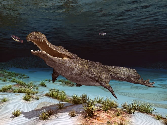 Crocodile préhistorique
