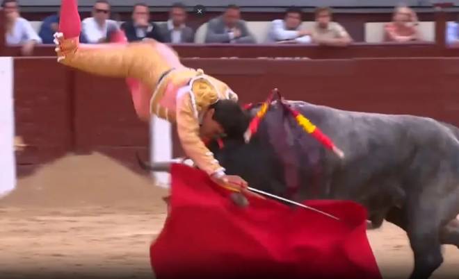 Le torero Paco Ure&ntilde;a attaqu&eacute; par un taureau durant une corrida