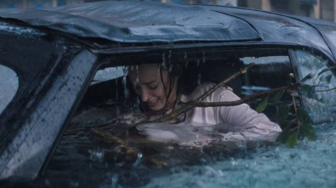 Extrait tir&eacute; de Nature pr&eacute;datrice