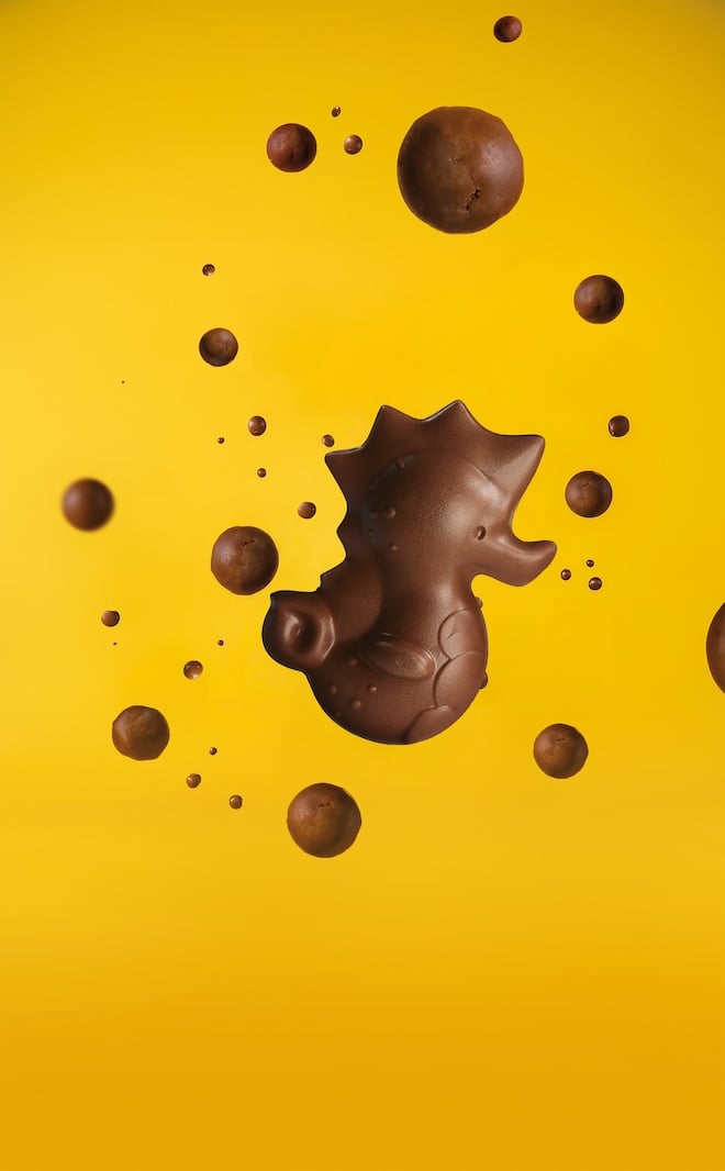 hippocampe en chocolat